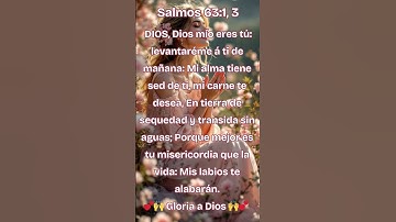 Thumbnail of Dios es todo lo que necesito🙌💕 Gloria a Jesucristo #Dios #Jesus #alabanzas #frases #biblia #amen #fe