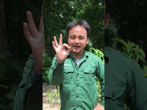 Dad Made A Pair Of Sandals From Discarded Plastic Bottles For His Son Camping Survival Hacks