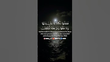 ماهر المعيقلي - سورة البقرة ( برواية حفص عن عاصم ) الأية  65 - 66