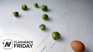 Celebrity Flashback Friday: How to Reduce Your TMAO Levels Net Worth