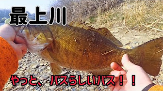 山形スモールマウスバス Youtube