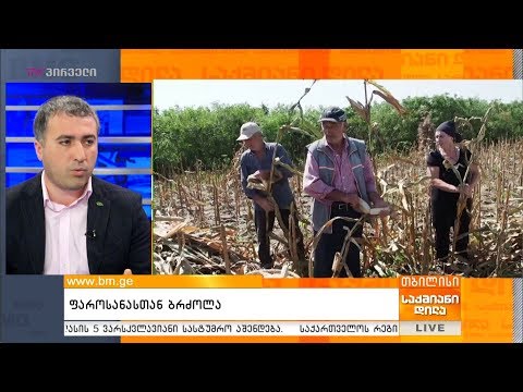 ფაროსანასთან ბრძოლა