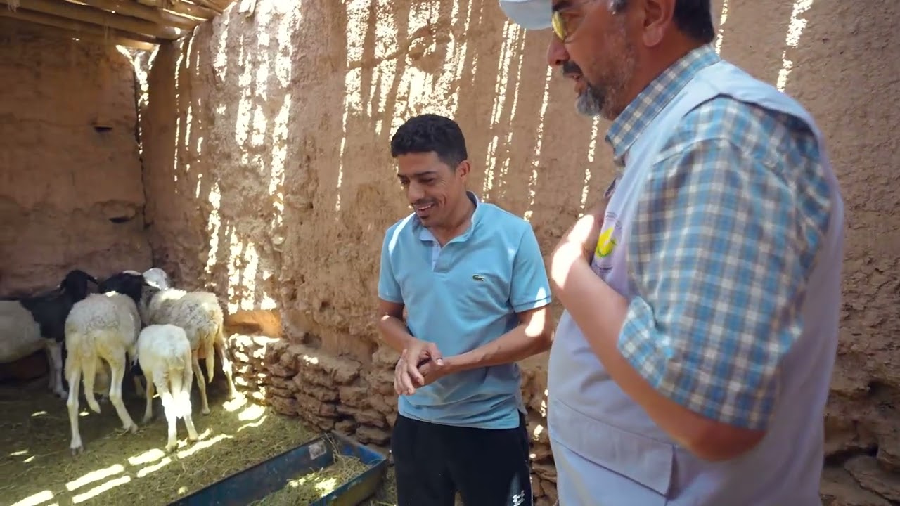 زيارة ميدانية لمتابعة مشروع جديد لتربية أغنام الدمان بإقليم طاطا