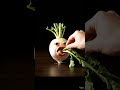 TURNIP EATING #king #mukbang #animation #animation #smile #emoji #viral #funny #cute #eating