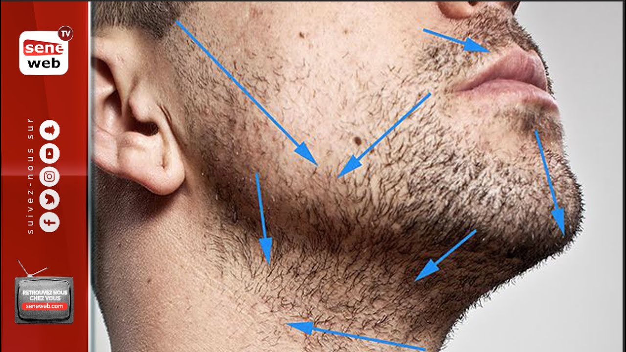 Рост волос на лице у мужчин. Направление роста волос на бороде. Направление бритья лица у мужчин. Направление бритья бороды. Линия бороды.