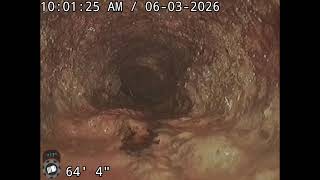 3 Sunset Lane greenwood Village- post drain cleaning