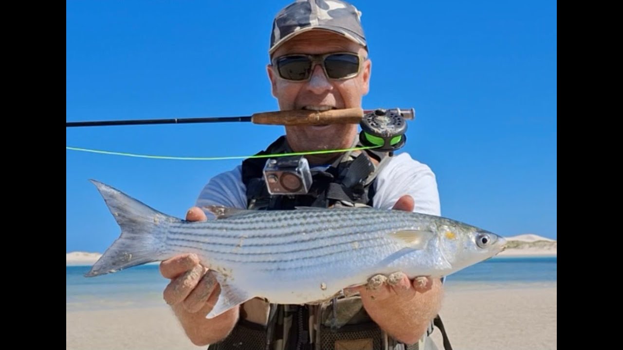 Нахлыстовая рыбалка в устье Струисбаай