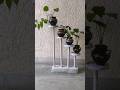 Pot stand DIY 🔥#shorts #trending #viral #youtubeshorts