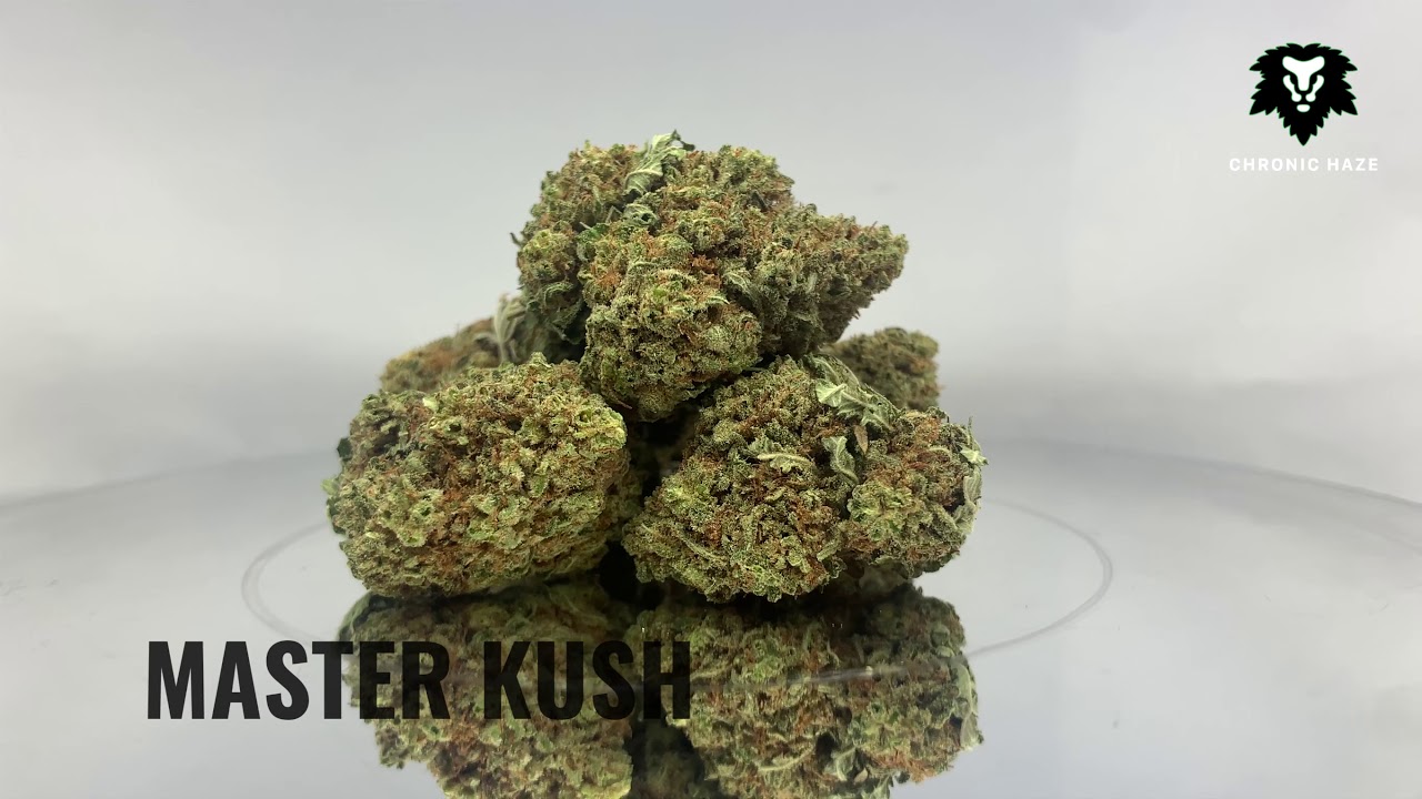Chronic Haze - Master Kush