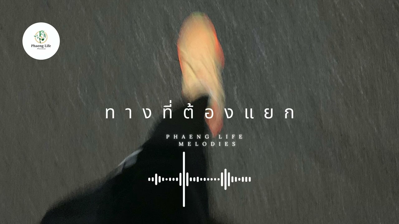 Phaeng Life - ทางที่ต้องแยก