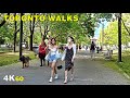 Long Weekend Downtown Toronto Walk + Streetcar Ride (May 23, 2021)