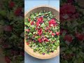 The best fattoush salad  feelgoodfoodie