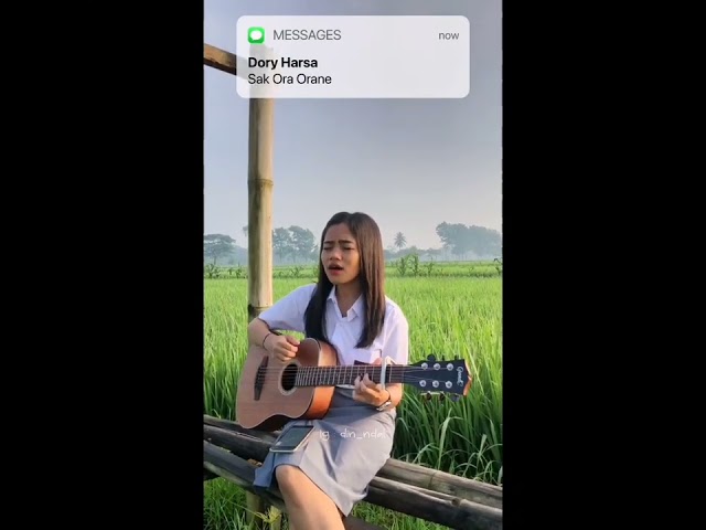 Sak Ora Orane - Cover Gitar Dinda Larasati class=