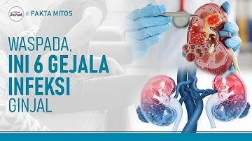 6 Gejala Infeksi Ginjal, Termasuk Sensasi Terbakar saat Kencing | Hidup Sehat tvOne