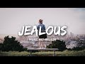Miniature de la vidéo de la chanson Jealous