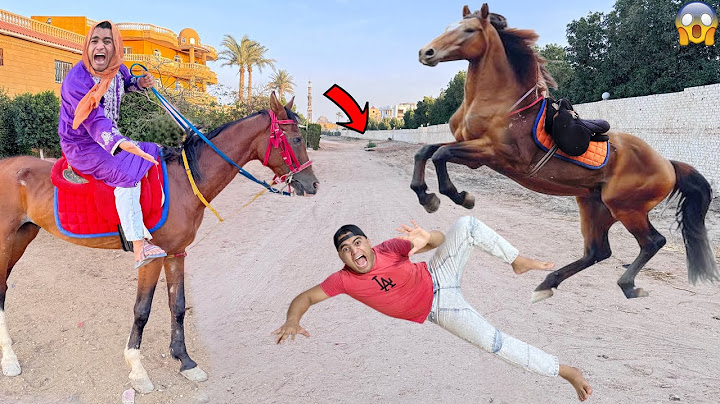 لما اخوك الصغير يشتغل في اسطبل خيل 🐎 ويركب الحصان 😱|عمر نصر  