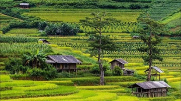 Những hình ảnh đẹp nhất về Tây Bắc | KHOÁI NẤU ĂN #17