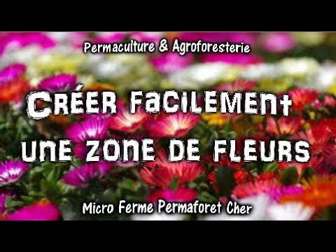 Vidéo: Nous Cassons Et Transplantons Un Jardin De Fleurs En Mai