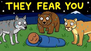 Why Wild Predators Never Attack Sleeping Humans?