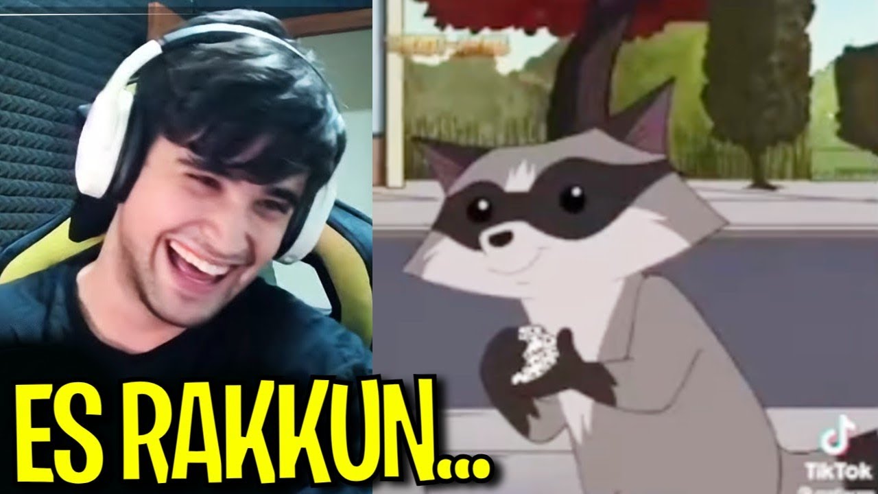 el mapache ya llego.. Beelce - YouTube