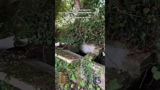 Finca rústica agraria 2.5 hectáreas en Llosones, Muño – Siero #asturias