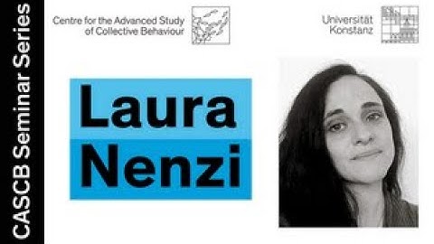 Laura Nenzi - A logic-based approach to Specify, Monitor and Learn (Spatio-)Temporal Behaviours