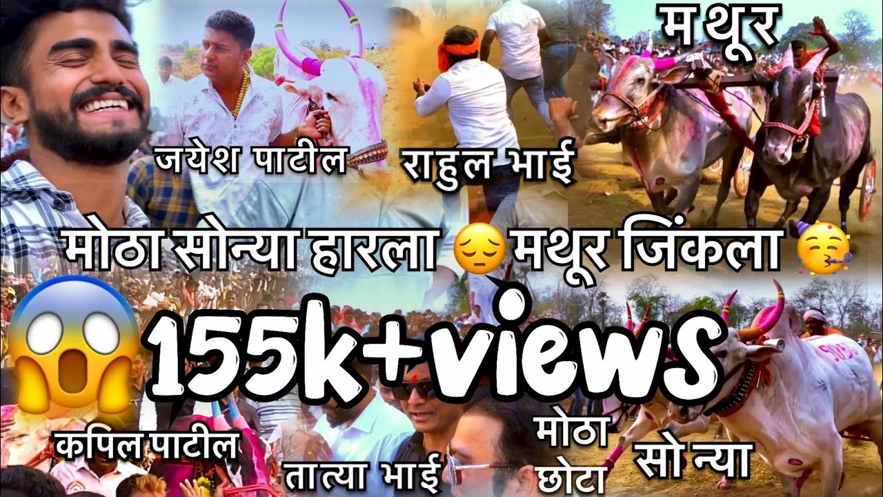 मोठा सोन्या,मथुर इताडे मैदान जंगीशर्यती श्री जगन पाटील मोठा सोन्या हारला😔,मथुरा जिंकला🥳#bailgada