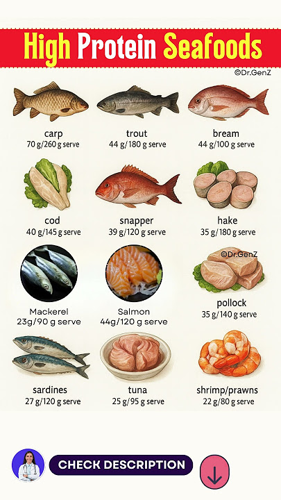 Best High protein Seafoods | Best Protein sources | Nutrition Guide