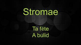 Stromae - Ta fête (Lyrics Video * francia/angol/magyar)