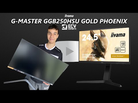 G MASTER GBHSU B1 GOLD PHOENIX 0.4MS HZ