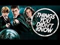 7 Things You (Probably) Didn't Know About Harry Potter!