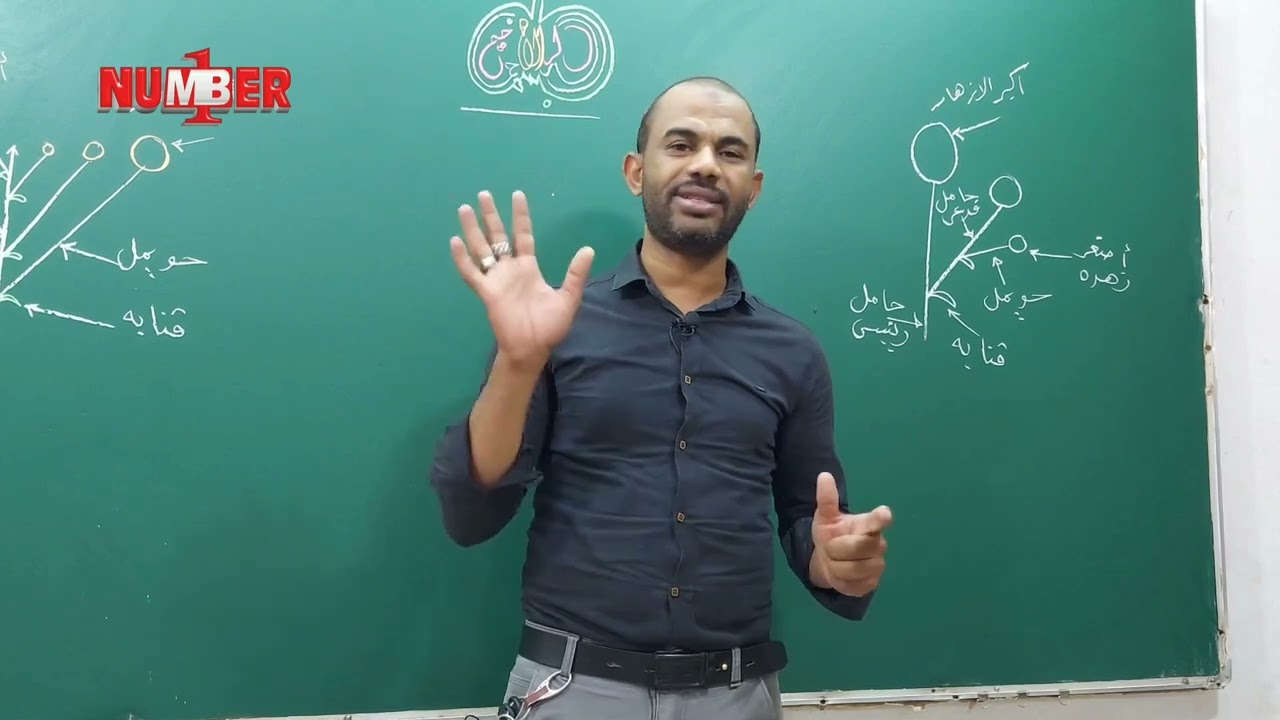 شهر رمضان قرّب! كيف نخطط للمذاكرة فيه؟ مع الأستاذ القدير/ خزيمة الحاج