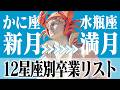 【バックムーン】12星座別・運命が動く15日間|手放すもの、掴むもの