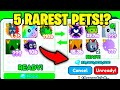 OMG! 😲 Trading The 5 RAREST PETS for 25 BILLION GEMS... | Pet Simulator X