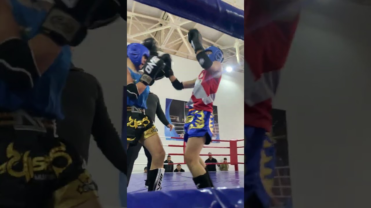 1 марта 2026 г.