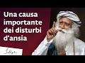 Una causa importante dei disturbi dansia  sadhguru italiano