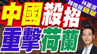 荷蘭政府發現 凍結聞泰股權事件並沒按預期發展！而是開始走向失控｜中國殺招 重擊荷蘭｜蔡正元.栗正傑.黃敬平深度剖析【林嘉源辣晚報】精華版 @中天新聞CtiNews