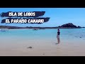 QUE VER EN ISLA DE LOBOS | EL PARAÍSO CANARIO 🏝 #6