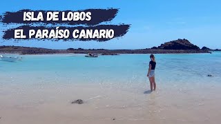 QUE VER EN ISLA DE LOBOS | EL PARAÍSO CANARIO  #6