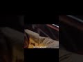 Final Destination 3 movie (2006)