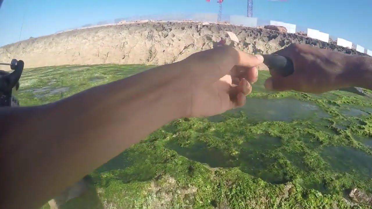 لقطات صيد رفقة الأصدقاء السمك المستهدف حلامة  توقاف وعايم