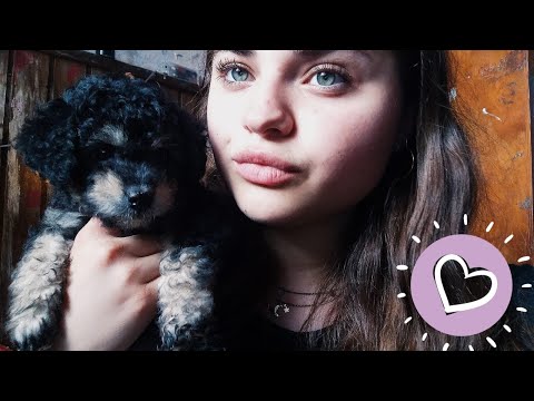 ASMR con una cachorrita - Soft Spoken y susurro