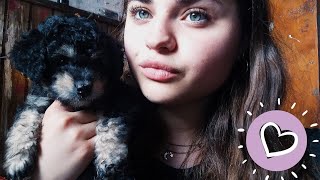 ASMR con una cachorrita - Soft Spoken y susurro screenshot 2