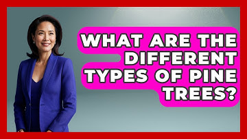 What Are The Different Types Of Pine Trees? - Exploring Campgrounds