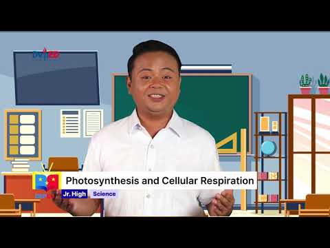 Grade 9 SCIENCE QUARTER 1 EPISODE 7 (Q1 EP7): Photosynthesis and Cellular respiration Part1