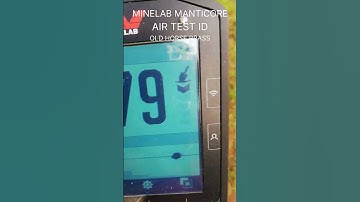 Minelab Manticore Detector.Air test for id numbers on Horse brass.#shorts