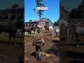 All Arabian Horse Locations in Red Dead Redemption 2