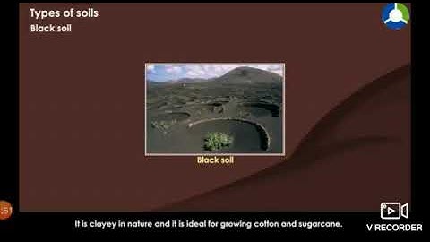 CLASS 4TH SST CH   5 TYPES OF SOIL PART  1