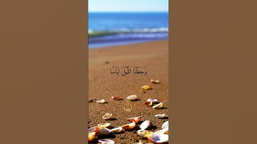 تلاوة جديدة القاىء عبدالرحمن مسعد ✨