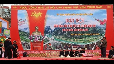 [LIVE] Trực tiếp Lễ Hội Chọi Bò Bảo Lâm 2025